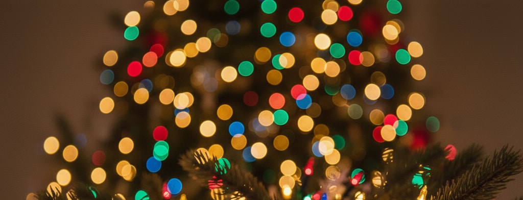 bokeh christmas lights Portland